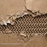 Close-up texture of heavily ripped brown packaging cardboard, exposing the thick, wavy corrugated inner core and frayed paper fibers.