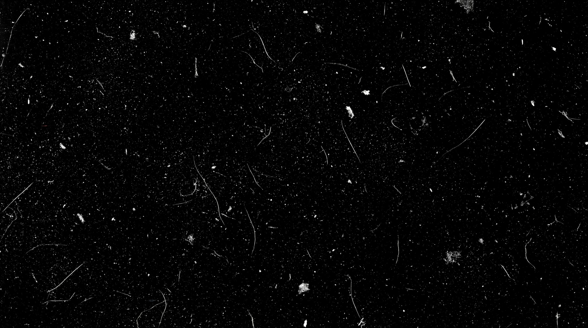 A black background with numerous white analog film dust particles and thin, curved scratches.