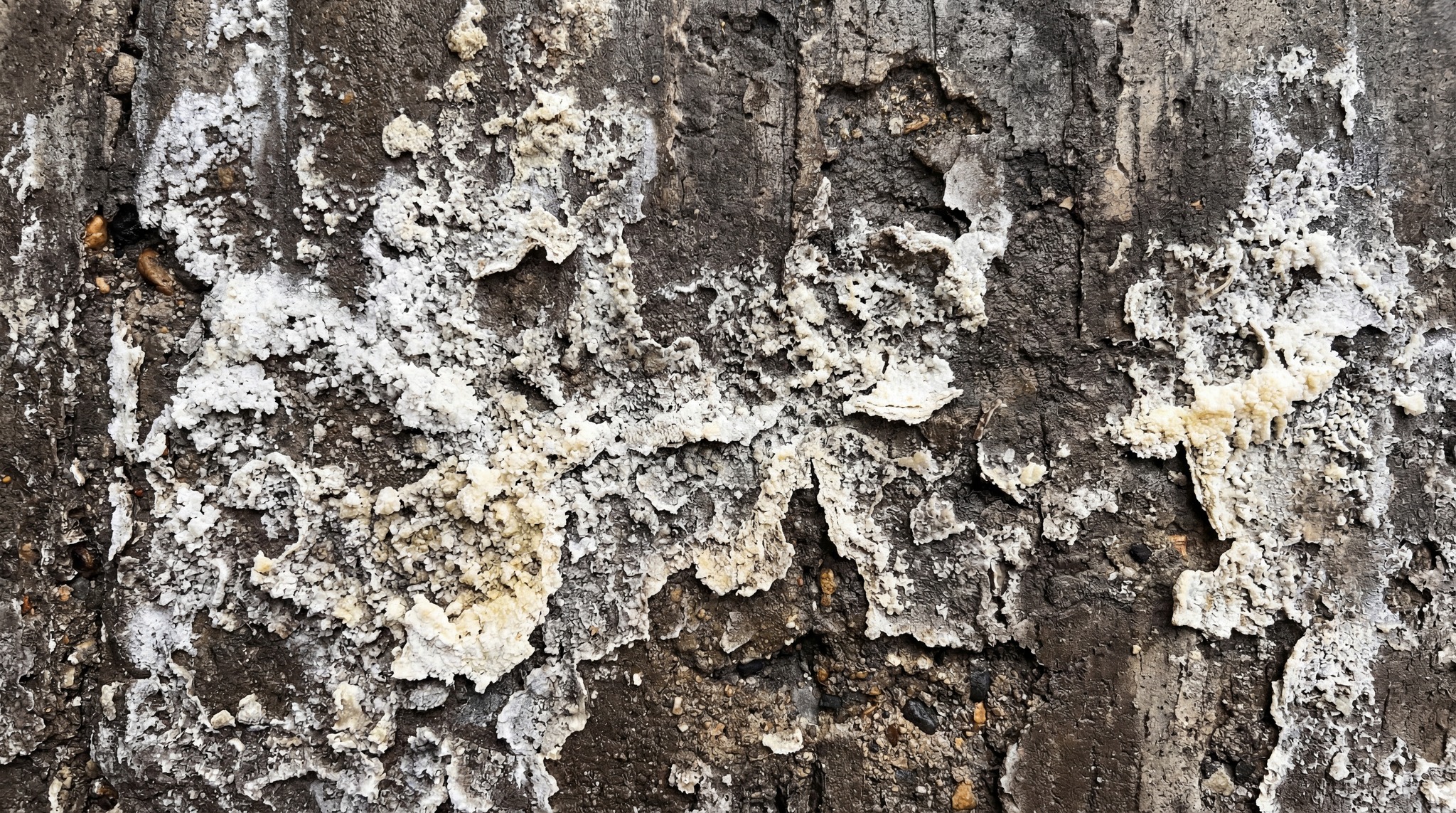 Close-up of a damaged raw concrete surface with peeling white material.