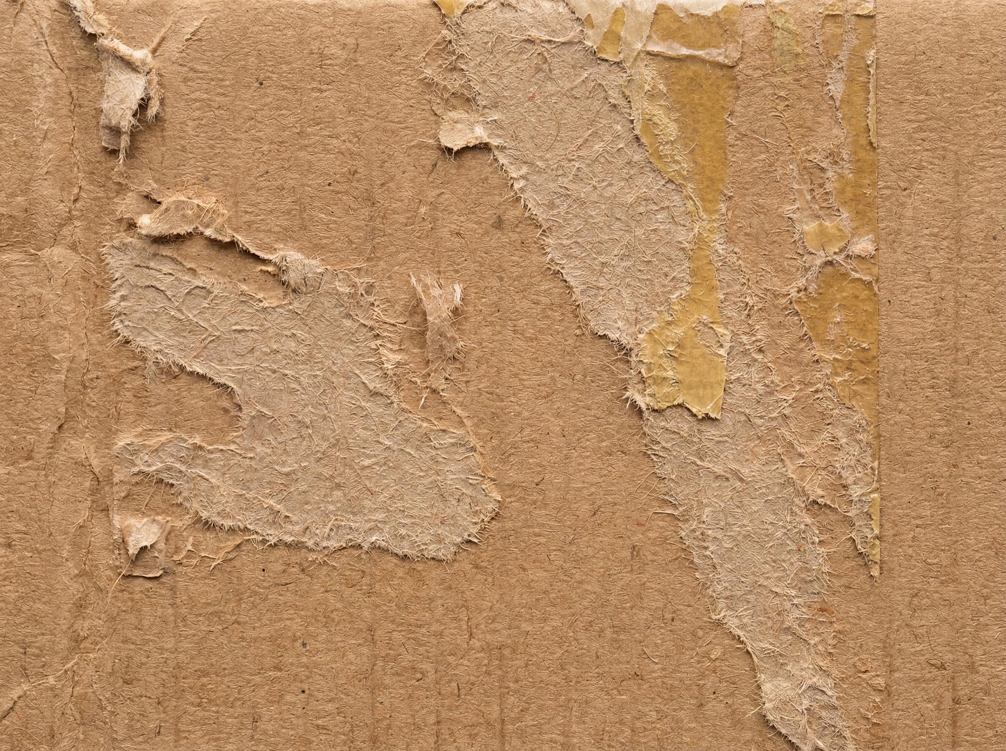 Close-up of torn brown cardboard texture with visible adhesive residue.
