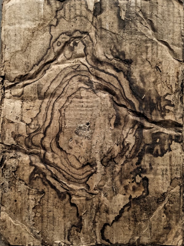Close-up of a worn, textured cardboard surface with dark, organic ink stains forming concentric patterns and irregular blotches.