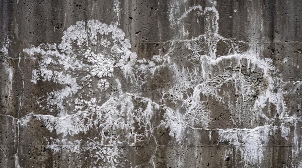 Close-up of a damaged brutalist concrete wall with white mineral efflorescence and cracks.