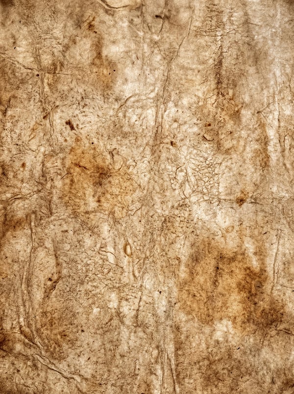 Close-up of aged parchment paper with visible creases, rough fibers, and dark brown splatters and stains.