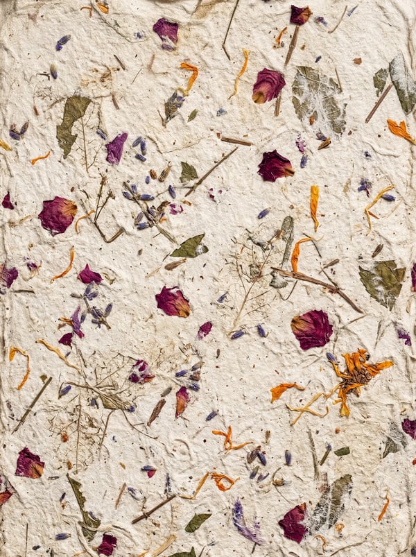 A textured off-white handmade paper background with embedded dried botanical elements including rose petals, lavender buds, and dried leaves.