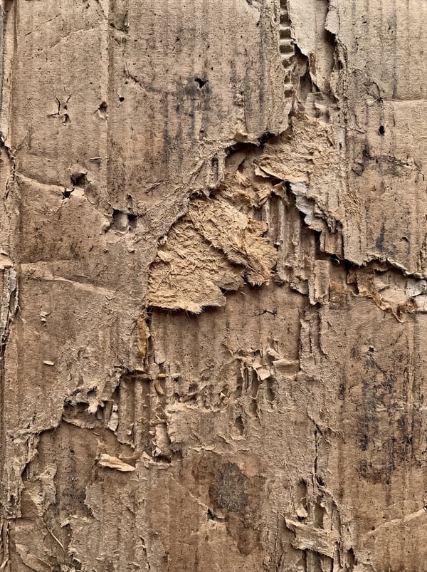Close-up of damaged brown corrugated cardboard with torn edges and exposed inner fibers.