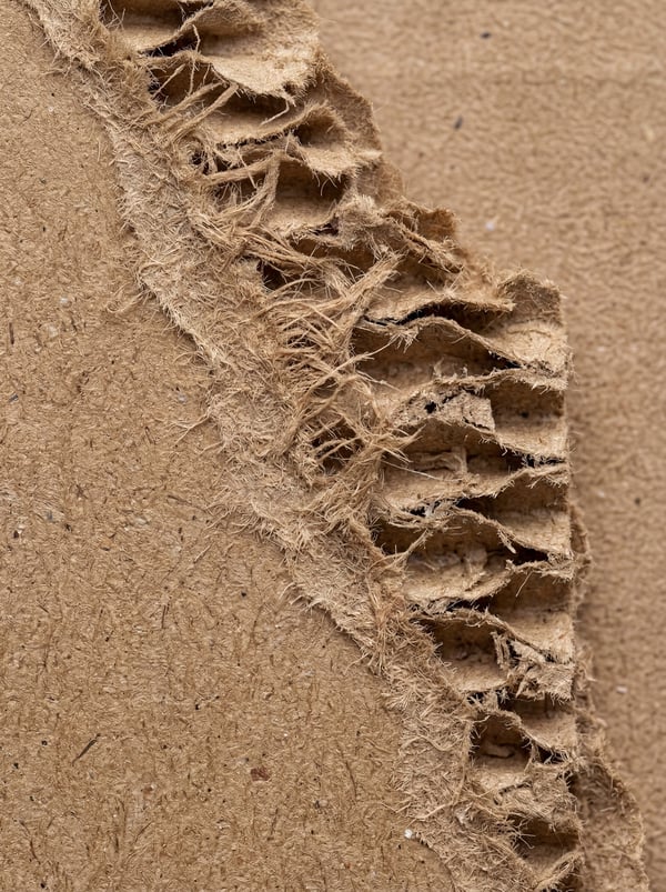 Close-up view of a torn edge of corrugated cardboard, showing the layered paper structure and frayed fibers.